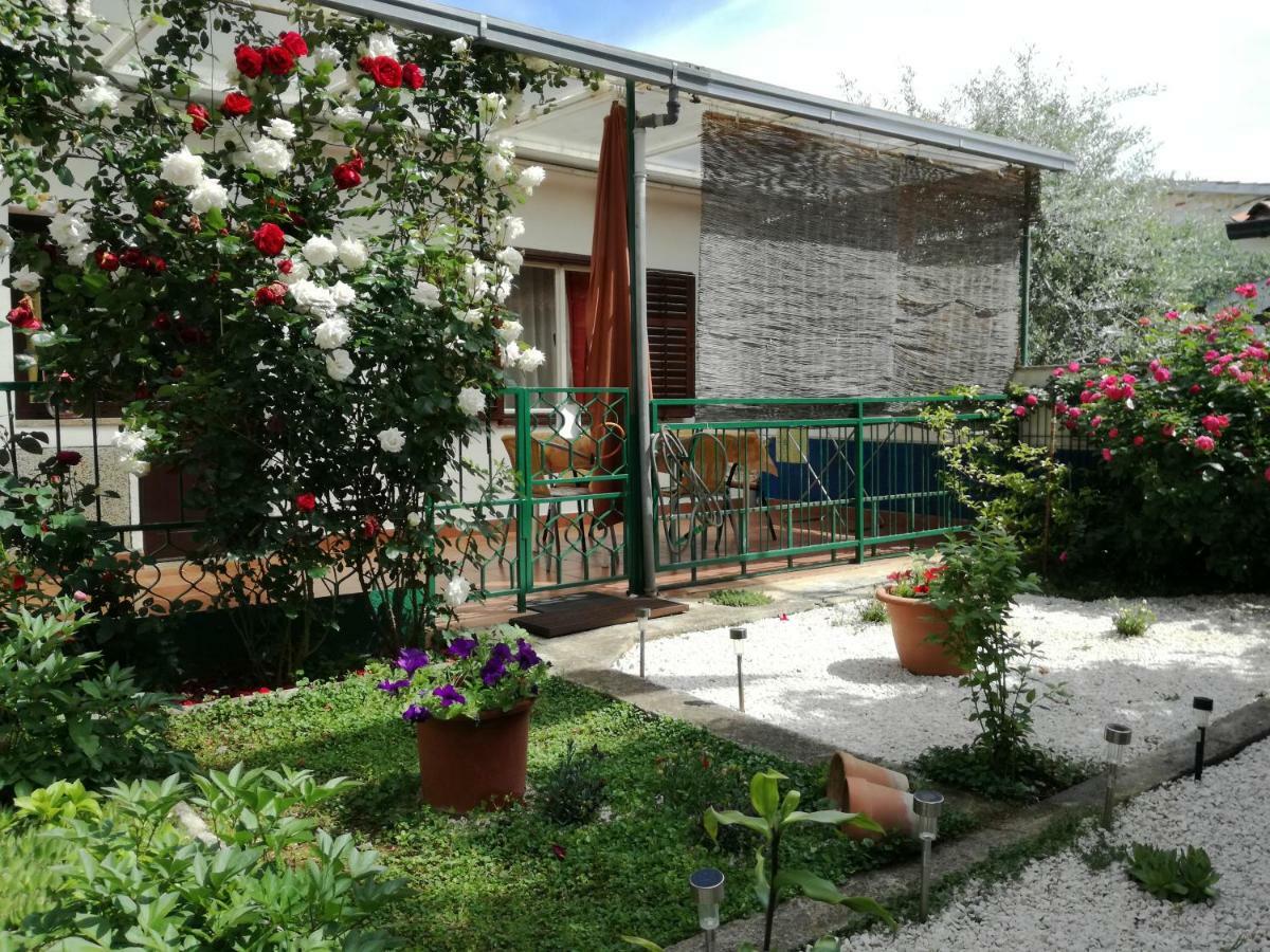 Vile Park Apartments Poreč Dış mekan fotoğraf